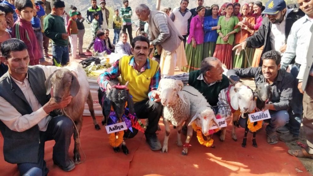 Bakri Swayamwar